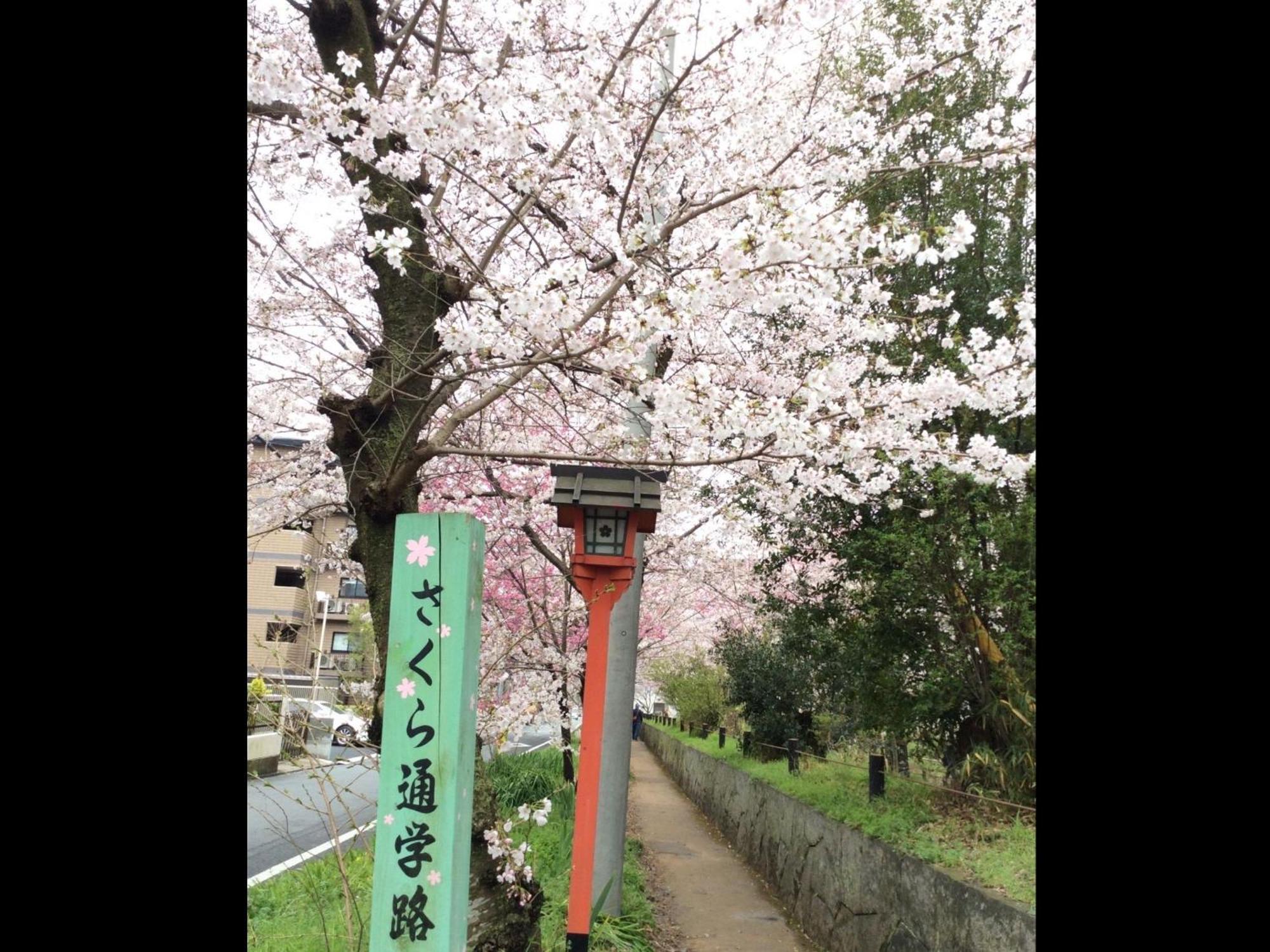 Kyounoyado Hana Nishijin - Kimono No Yado Quioto Exterior foto