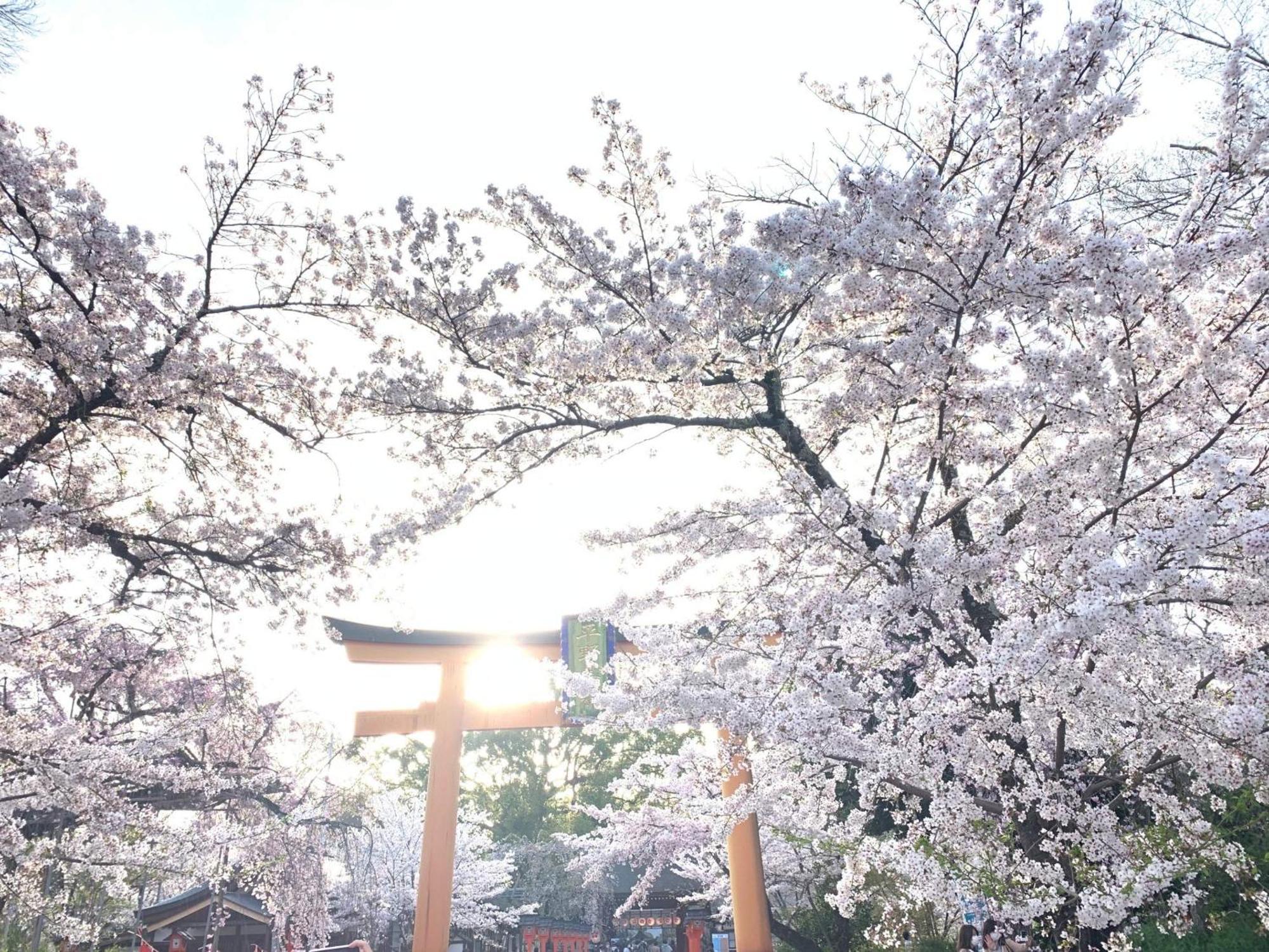 Kyounoyado Hana Nishijin - Kimono No Yado Quioto Exterior foto